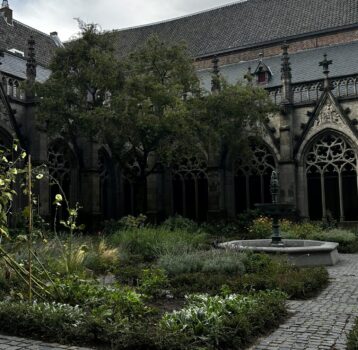 If You Love These Films, You’ll Love Even the Faithful